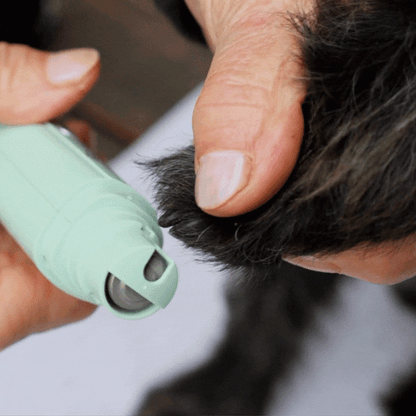 TierTreu - Elektrischer Krallenschleifer